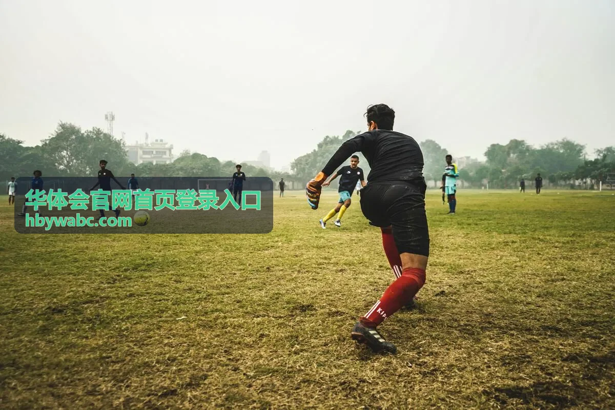 华体会官网首页登录入口账号安全与验证设置页面示意