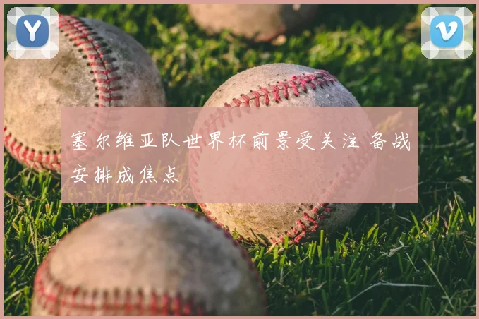 塞尔维亚队世界杯前景受关注 备战安排成焦点