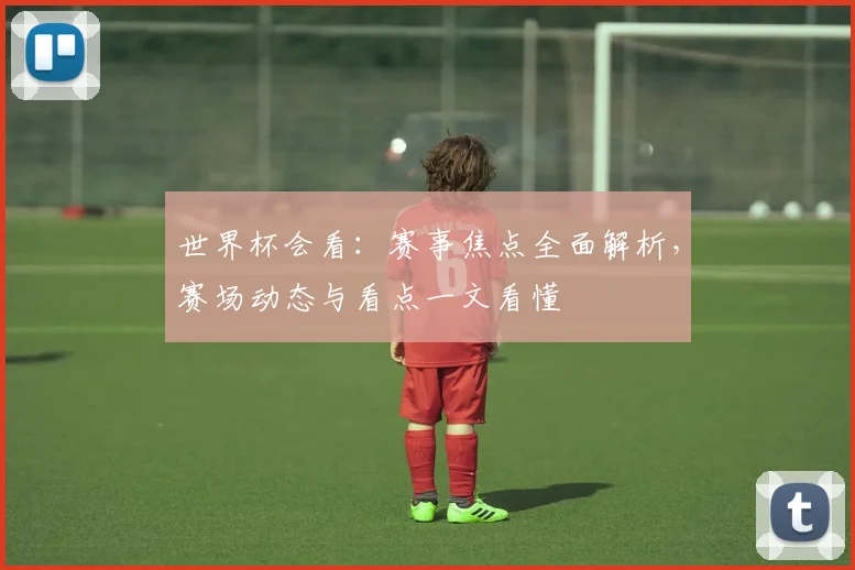 世界杯会看:赛事焦点全面解析,赛场动态与看点一文看懂